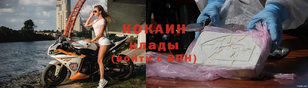 молекула духа Медвежьегорск