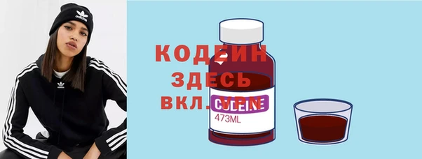молекула духа Медвежьегорск