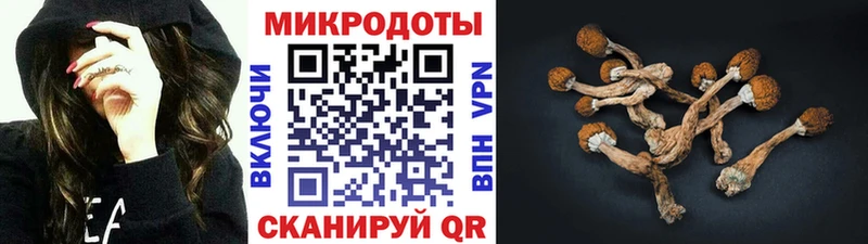 наркота  Брянск  Псилоцибиновые грибы мицелий 
